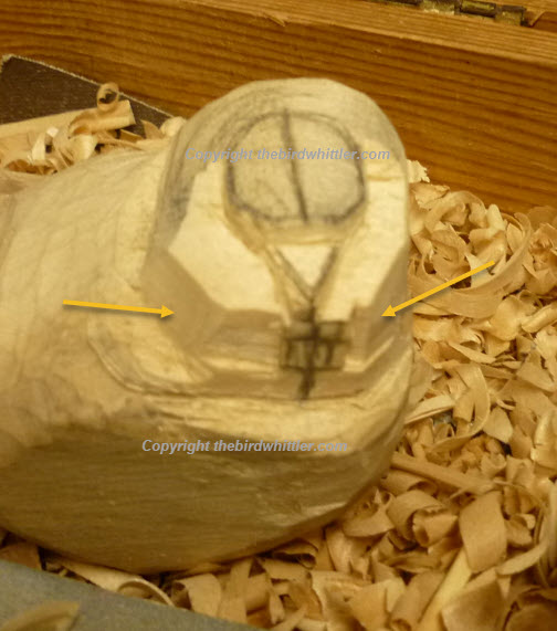 Both cuts from each side of the Blue Tits head.