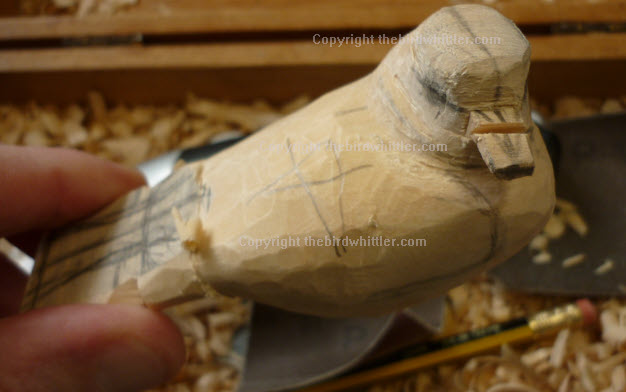 Whittled blue tit beak now broken and being repaired.