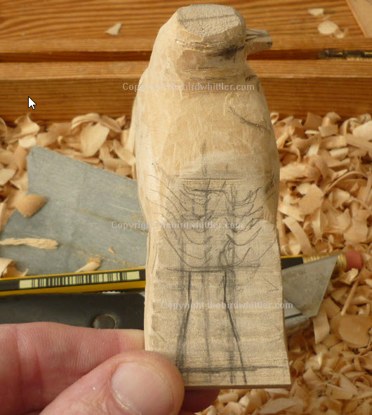 Blue Tit from the back with guidlines for tail and feathers.