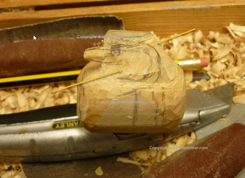 Image shows how I have whittled around the back of head and side cheek.
