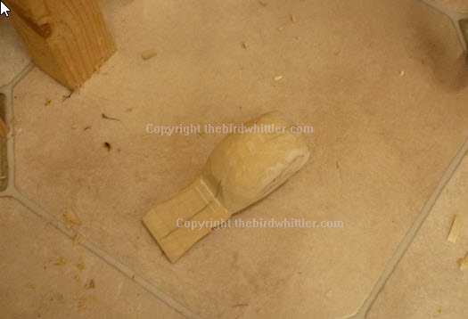 Blue Tit on the floor would it be ok?