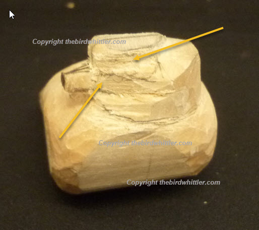 Arrows showing top of the Blue Tits head and beak, the eye band and under the beak.