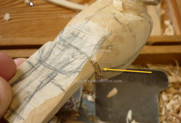 whittling away blue tit tail area.