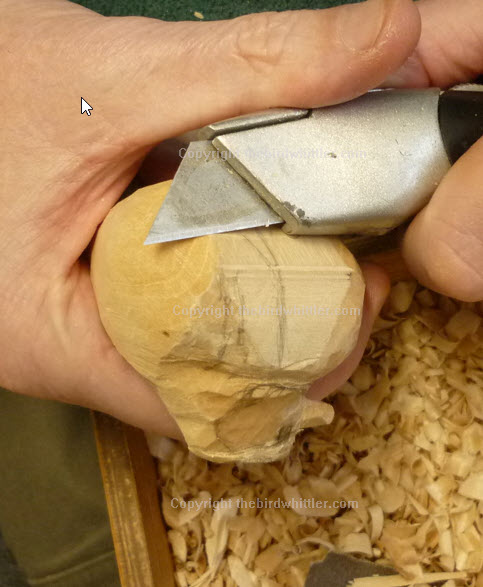 Whittling the front of the blue tit and rounding it.