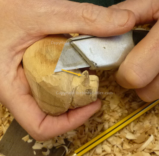Blade very close to the beak when whittling the Blue Tit.