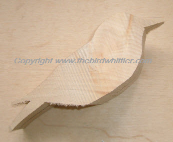 The profile of the Thrush is a lot bigger than the smaller songbirds I do.