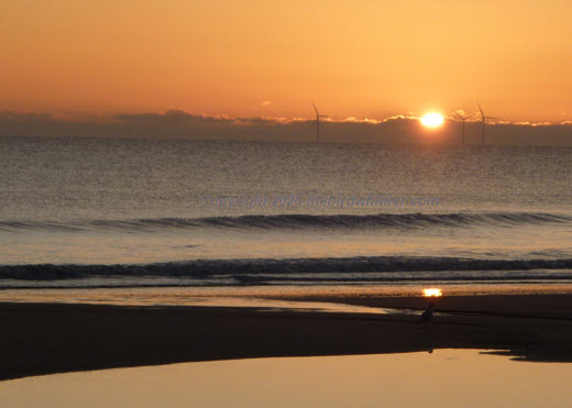 Sandilands Nature Reserve.