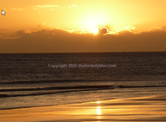 The sun was starting to rise, and wow. One of those mornings you don’t forget.