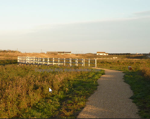 The path through the Sandilands Nature Reserve.