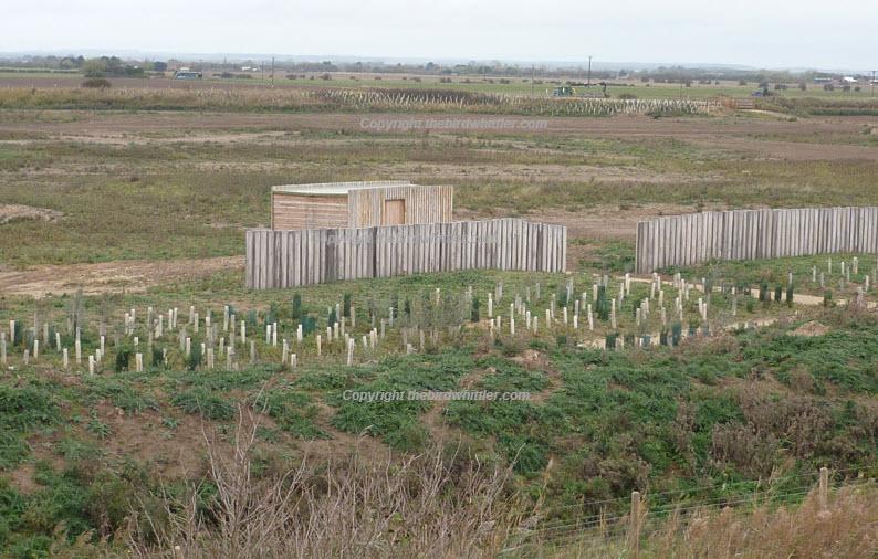 Early Morning at Sandilands Nature Reserve.