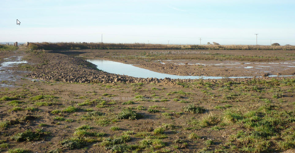 More water starting to filter down.