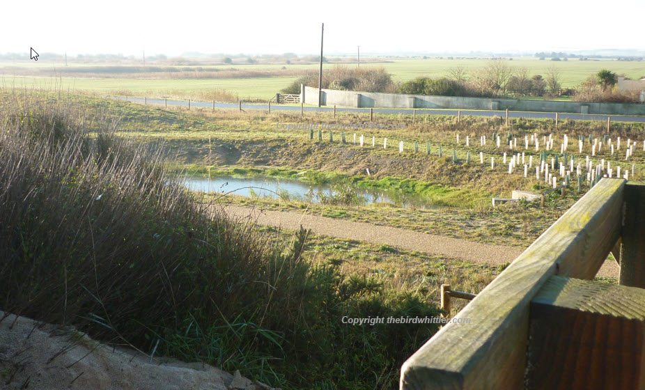 Path down into Sandilands Reserve.