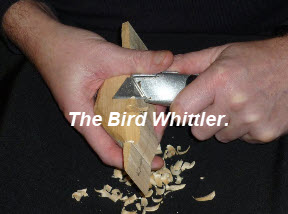 The Bird Whittler