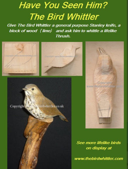 Whittling lifelike thrush