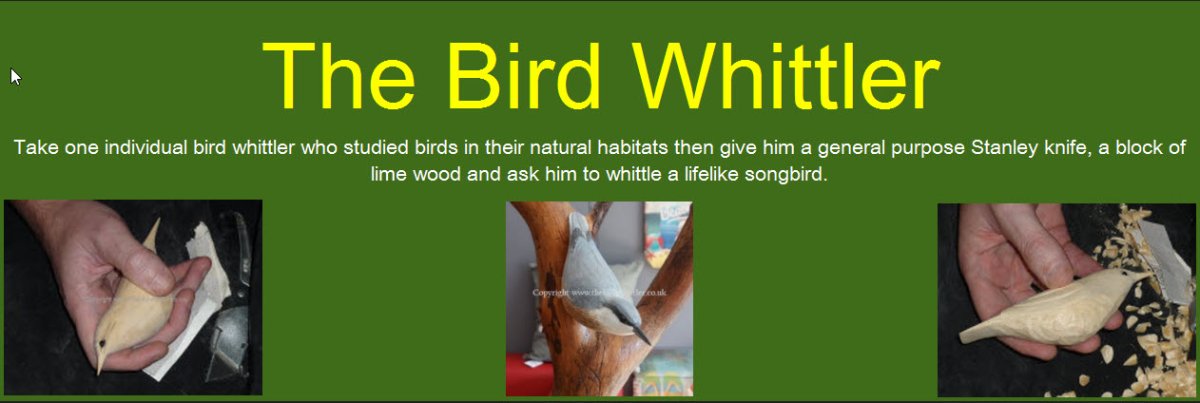 Bird Whittling Images