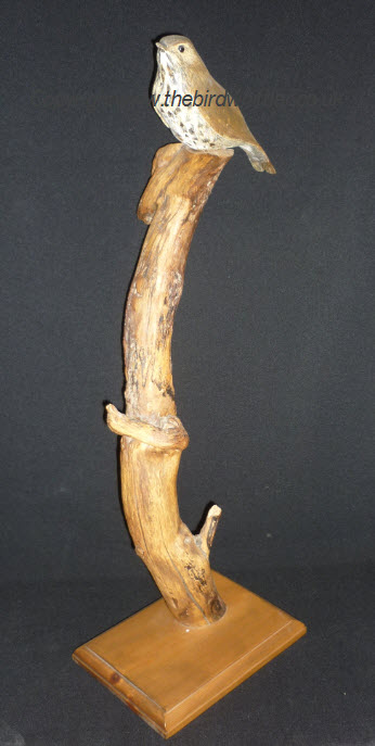 Whittled Thrush on driftwood.