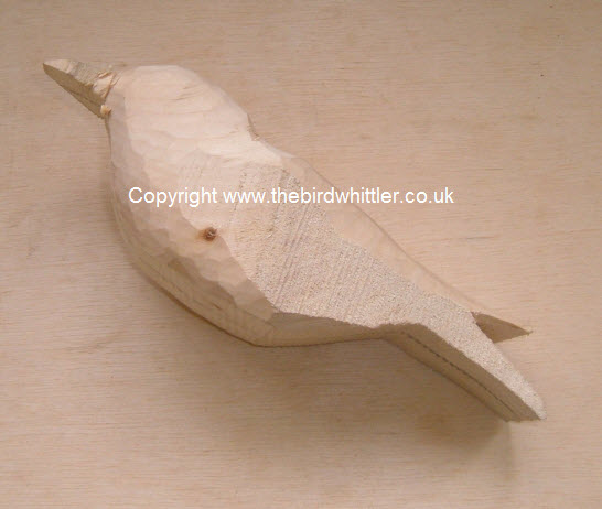 Side image of the Thrush.