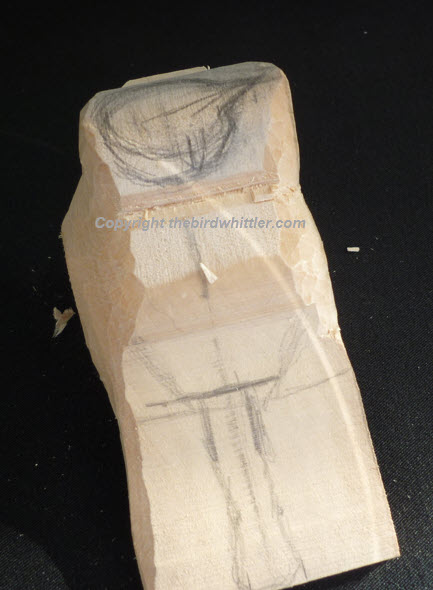 Above you see the view from the back of Blue Tit.